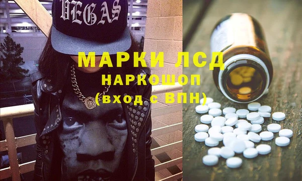 ешки Новодвинск