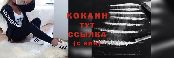 тгк Алексин