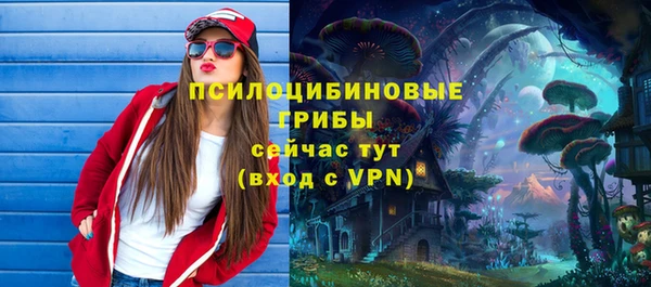 тгк Алексин