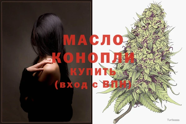 молекула духа Новозыбков