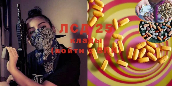 прущий лед Алзамай