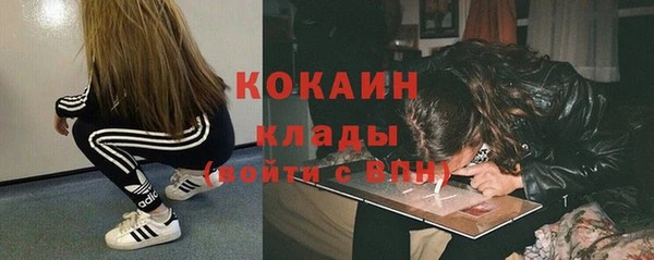тгк Алексин