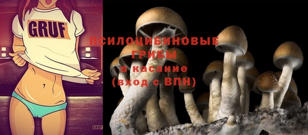 прущий лед Алзамай