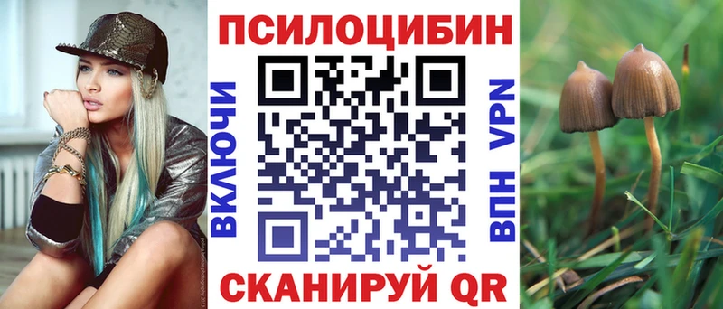Галлюциногенные грибы Psilocybine cubensis  Гусь-Хрустальный 